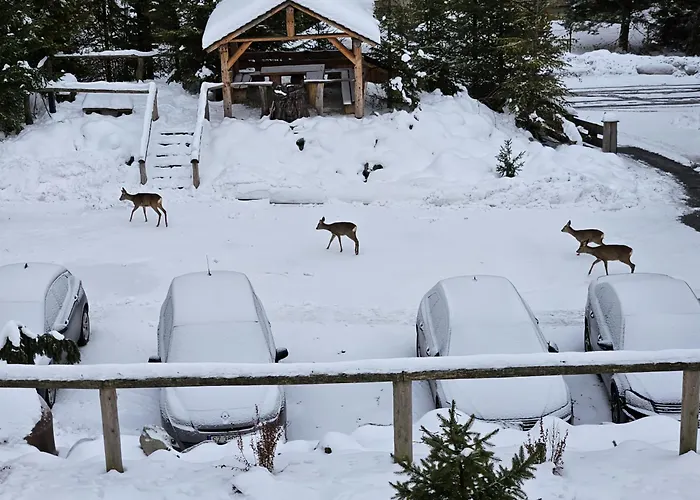 Aparthotel Beskidzkie Tarasy