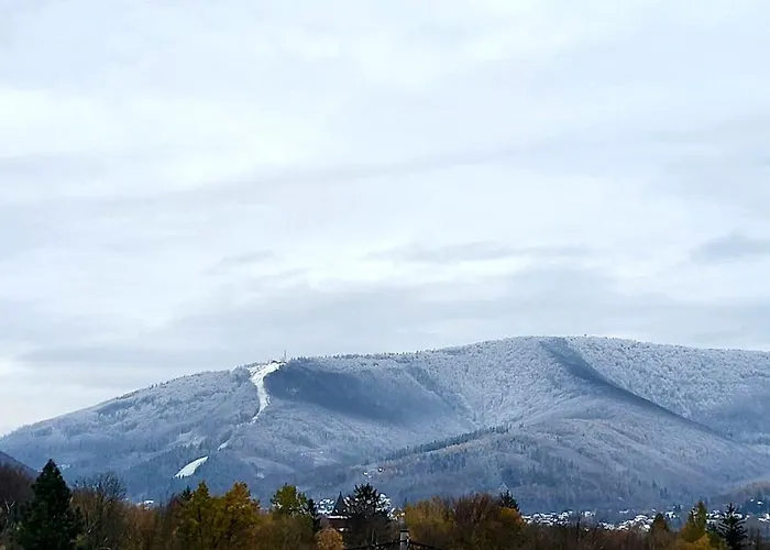 公寓式酒店 Beskidzkie Tarasy 乌斯特龙